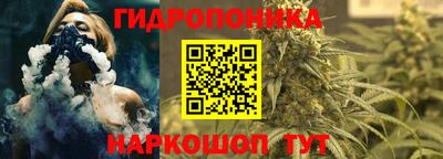 стафф Славгород