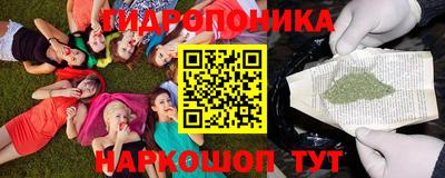 apvp Ставрополь