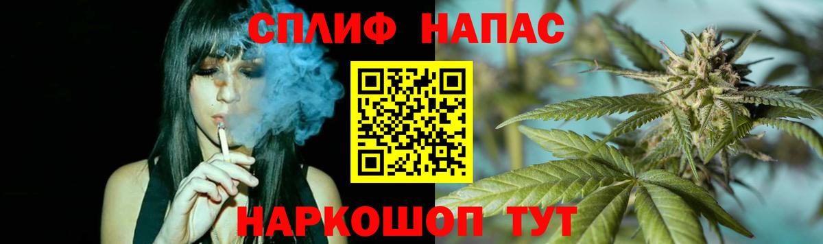 Бошки марихуана конопля Ревда